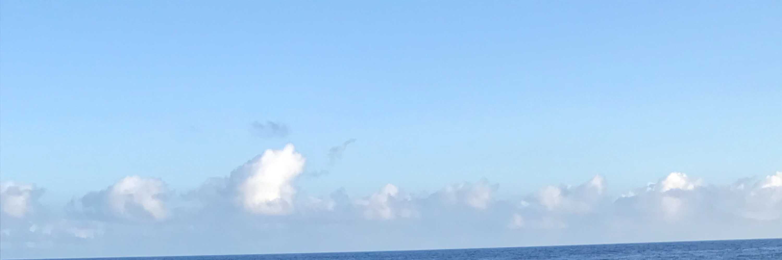 聖克魯斯島（Santa Cruz）海灣之旅