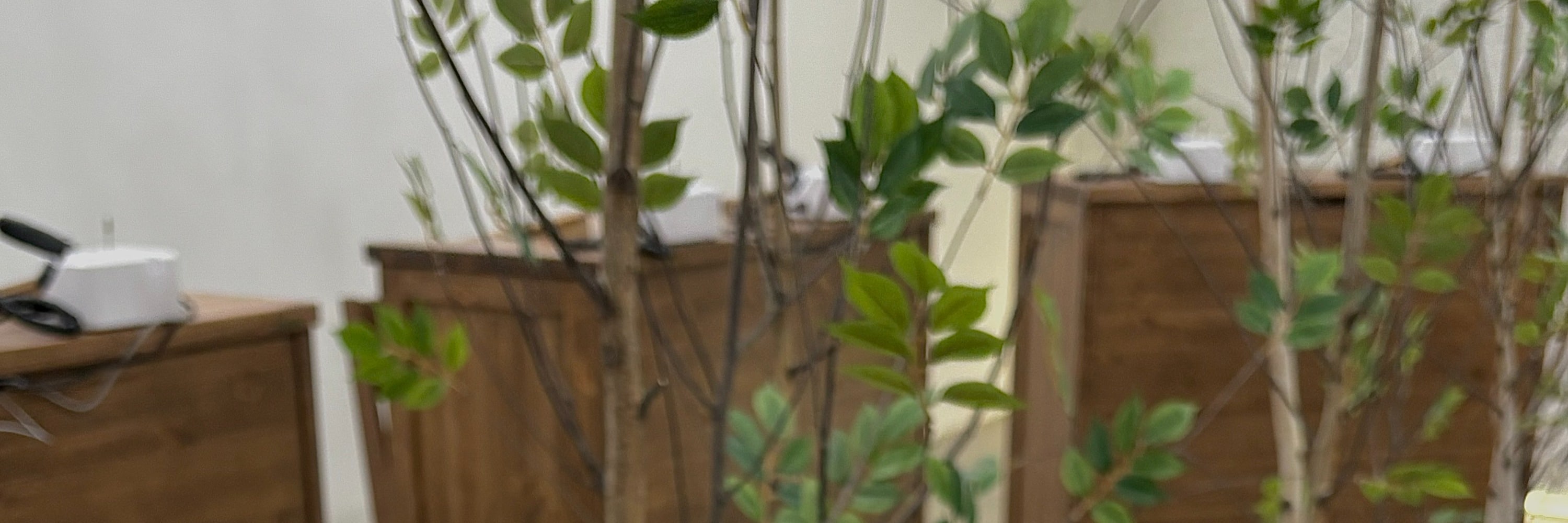 釜山手工戒指製作一日工坊（Atelier Hosoo）
