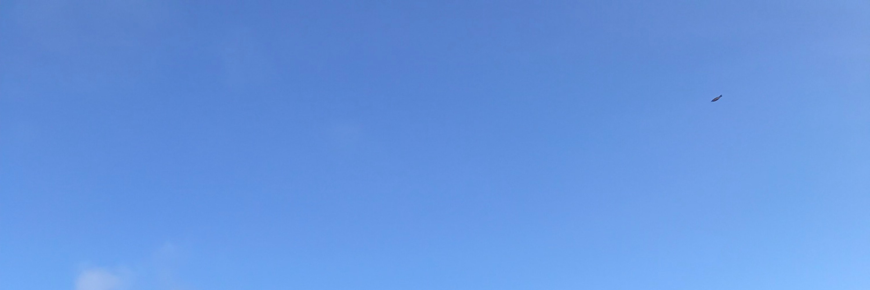 聖克魯斯島（Santa Cruz）海灣之旅