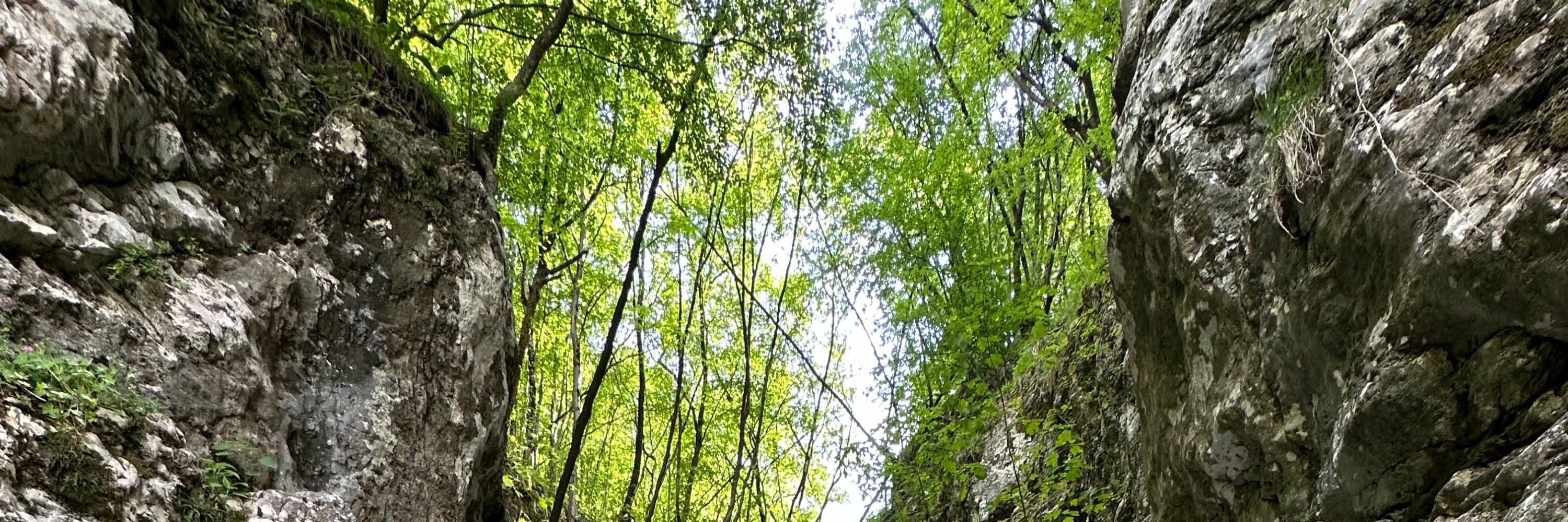 Exciting Canyoning in Susec canyon