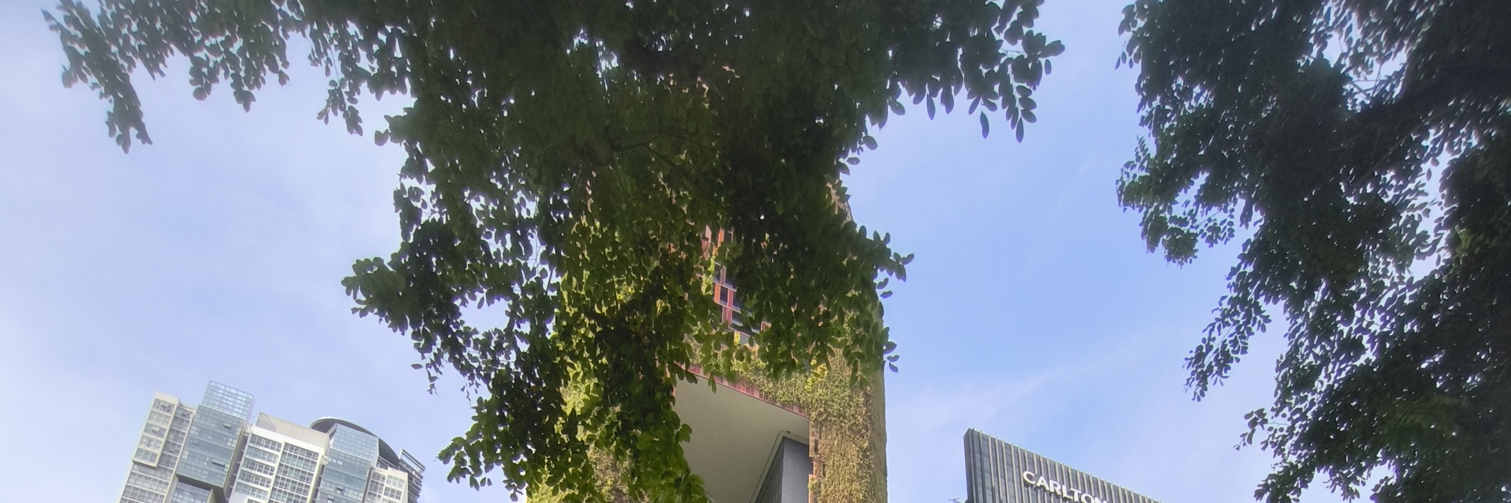 丹戎巴葛健康、故事與茶