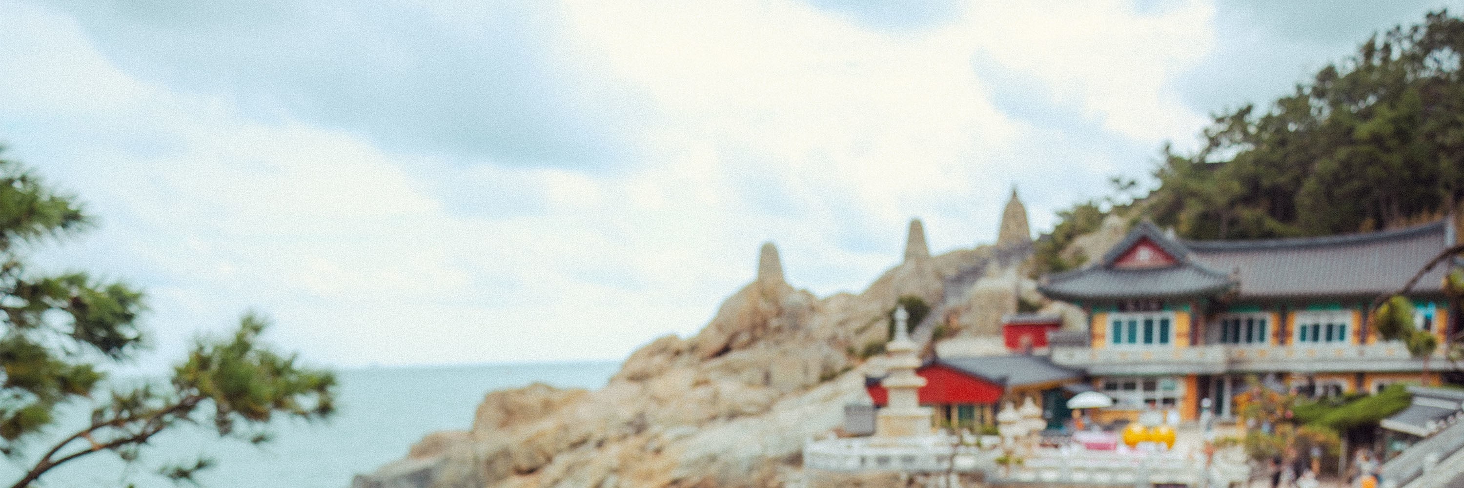 探索海東龍宮寺的海濱美景