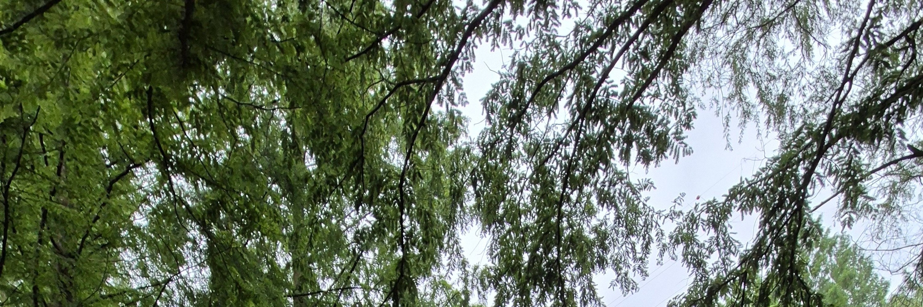 人稱“秘密花園”的洛江水路公園，真是一顆隱藏的寶石，讓人聯想到歐洲的公園。來自全國各地的年輕人都湧向這裡，拍攝令人驚歎的照片。該公園與安東大壩的建設同時建成，提供了一個c