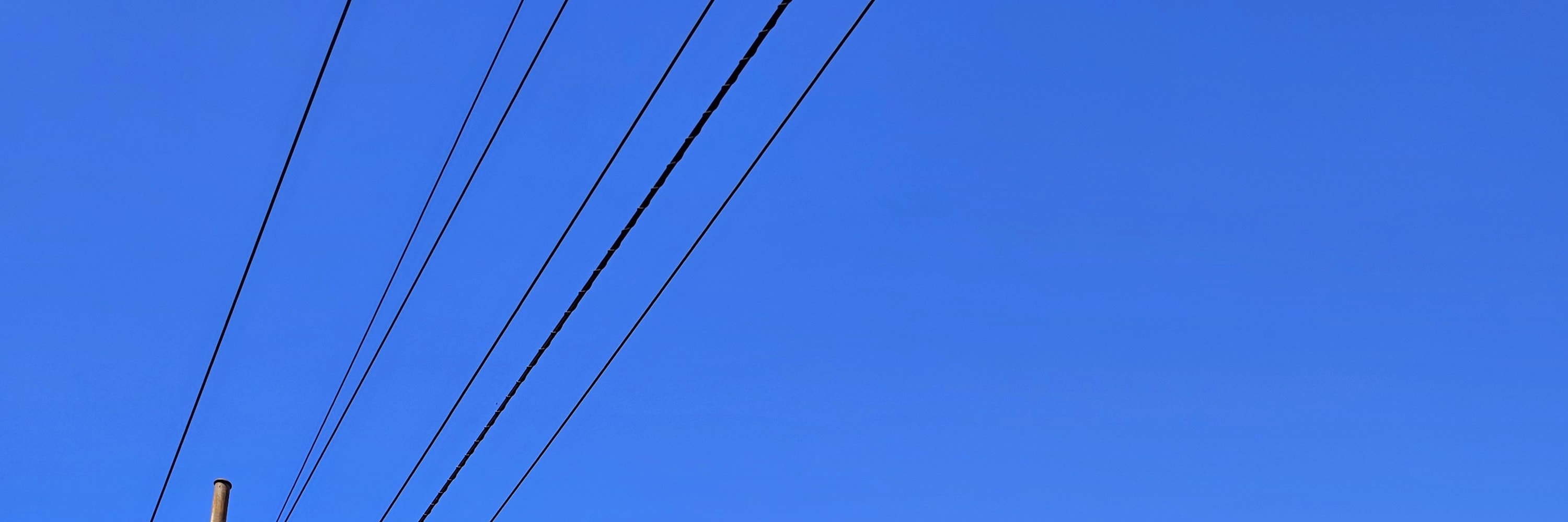 在色彩繽紛的街頭壁畫中捕捉菲茨羅伊的創意精神