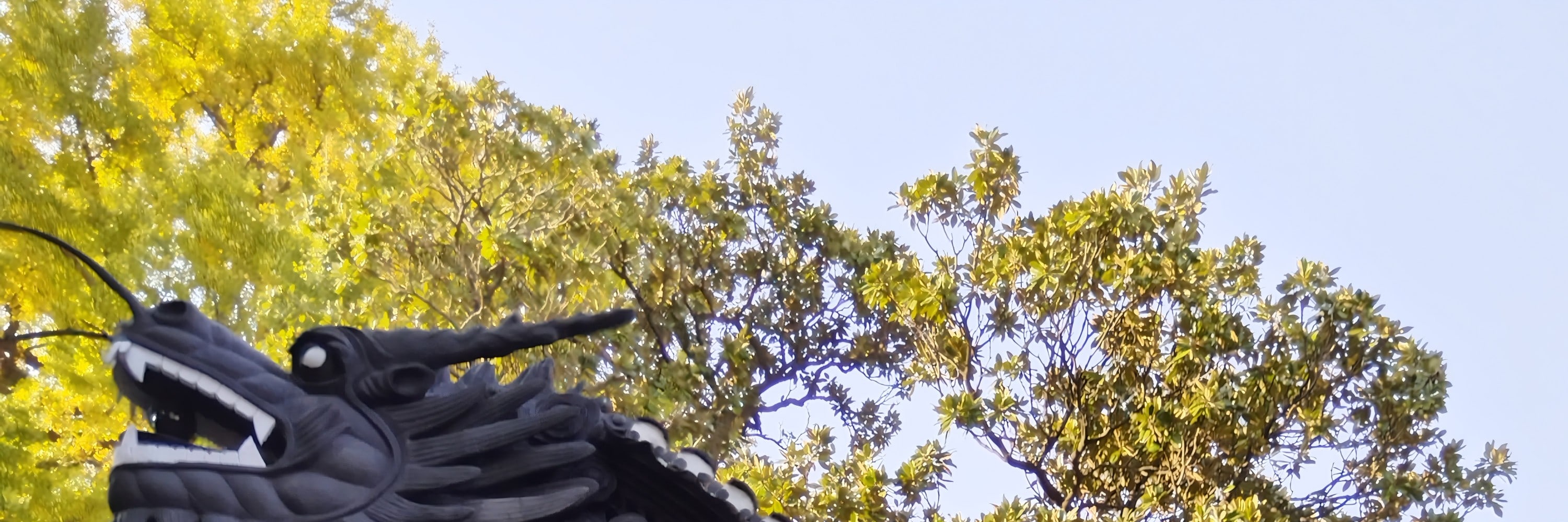 上海經典一日遊（豫園+老街+外灘輪渡+東方明珠+南京路步行街+上海小籠包+中國茶）