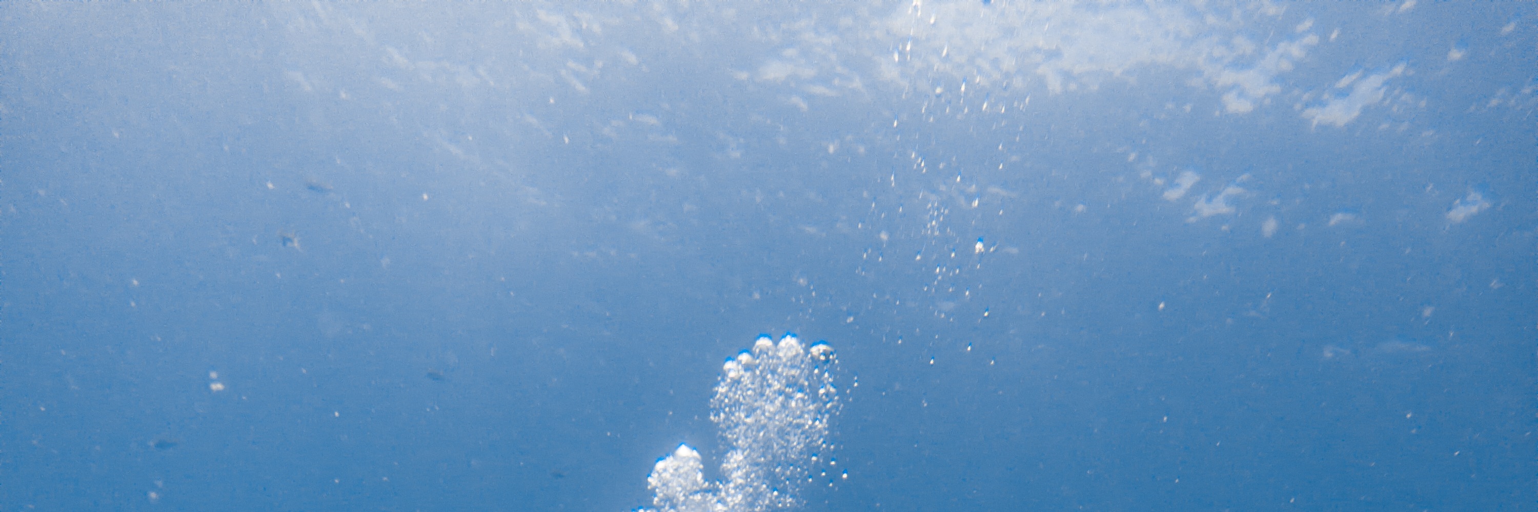 閣骨島開放水域潛水體驗（PADI五星級潛水中心）