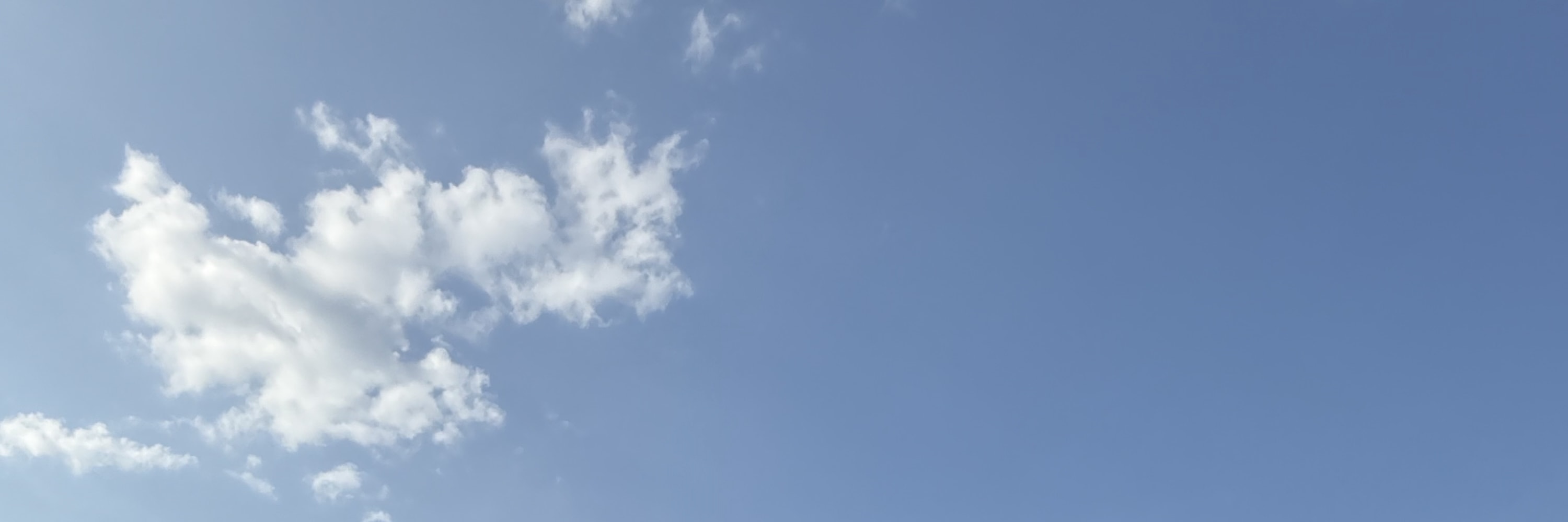 海明威遊船柏林右前方