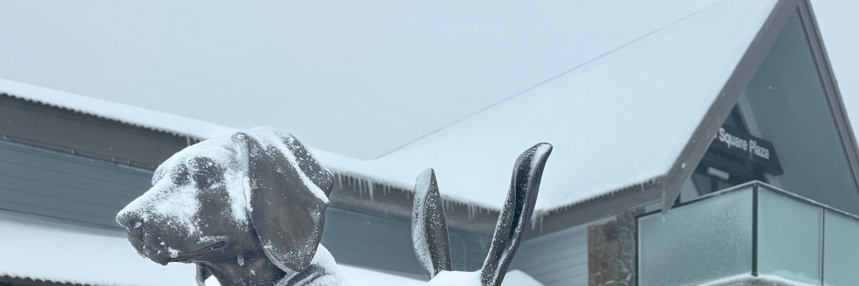 Private Mount Buller Snow & Ski Tour in Melbourne