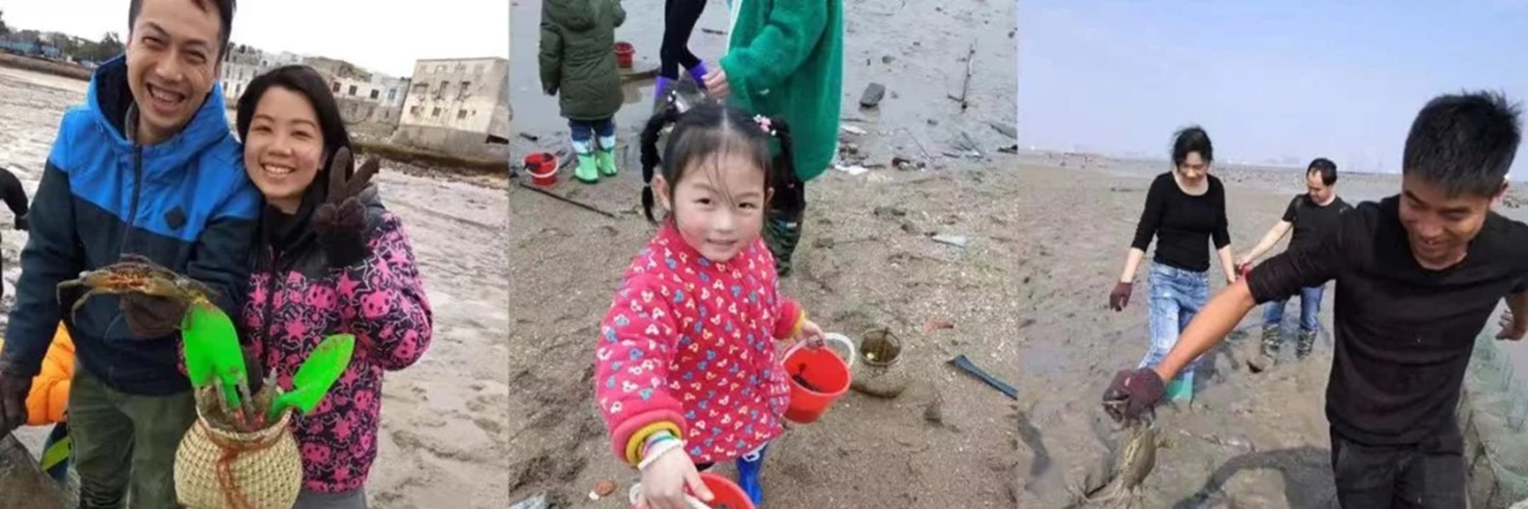 福建魅力廈門深度2日遊（暢遊鼓浪嶼+打卡《千與千尋》海上列車+帆船趕海樂趣體驗+360度超大型閩南傳奇秀+贈送海鮮大咖鍋+廈門往返）