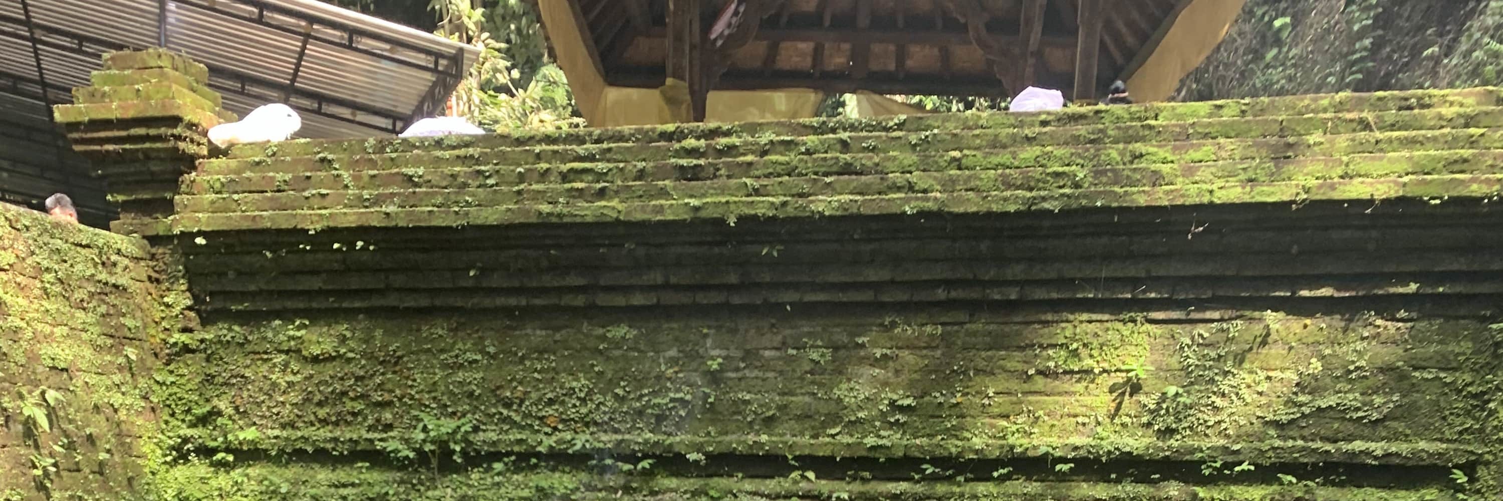 參加這趟3小時的淨化心靈 (Melukat) 體驗,從參觀孟格寧寺 (Mengening Temple) 到參與淨化儀式,讓您深入了解峇里島文化,獲得精神上的平靜與豐富。 參加這趟3小時的淨化心靈 (Melukat) 體驗,從參觀孟格寧寺 (Mengening Temple) 到參與淨化儀式,讓您深入了解峇里島文化,獲得精神上的平靜與豐富。