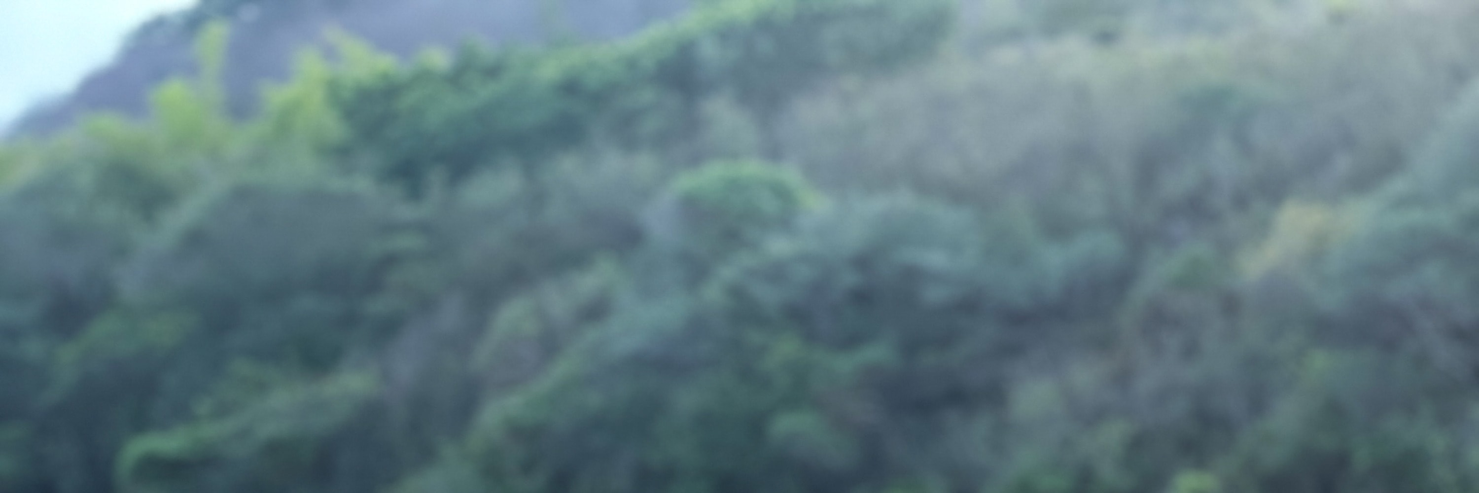 屏東: 小琉球Fun琉小島水上俱樂部・SUP立槳・獨木舟・透明獨木舟體驗