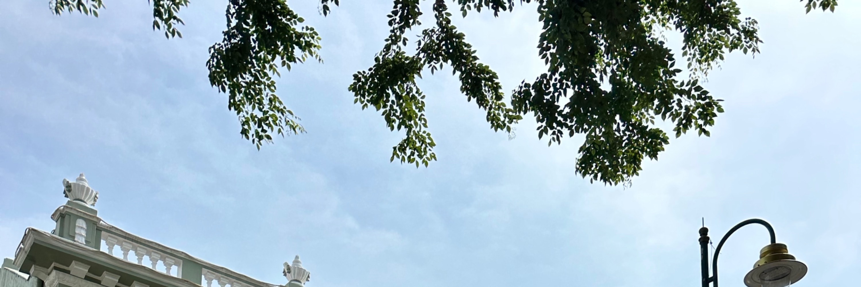 深度探索喬治市