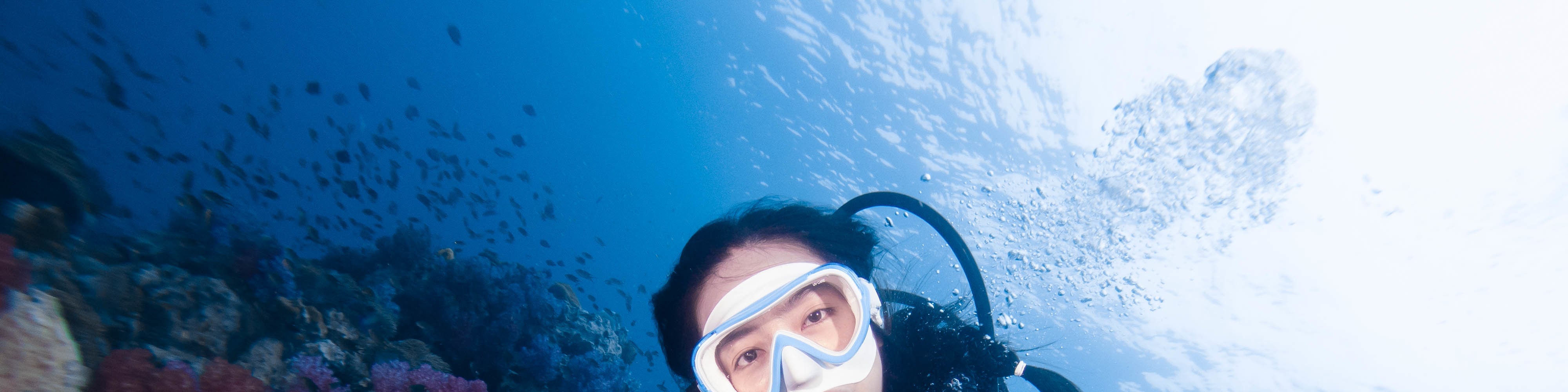 潛水：與 PADI 潛水中心一起探索巴東拜的水肺潛水