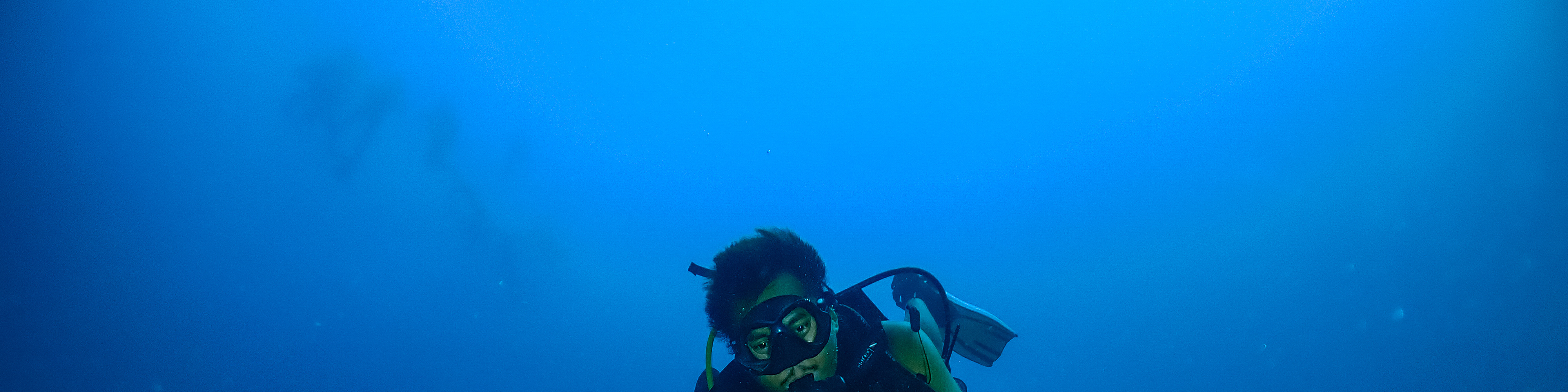 解鎖深度：努沙佩尼達島 PADI 5*中心高級課程