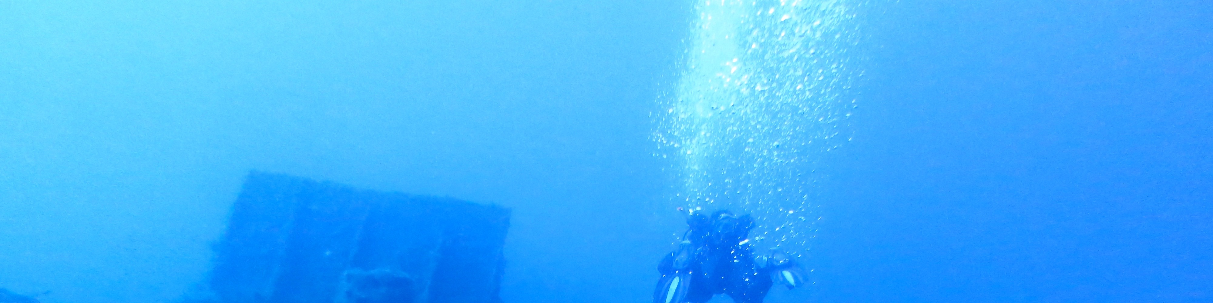 Full-Day Dive Trip