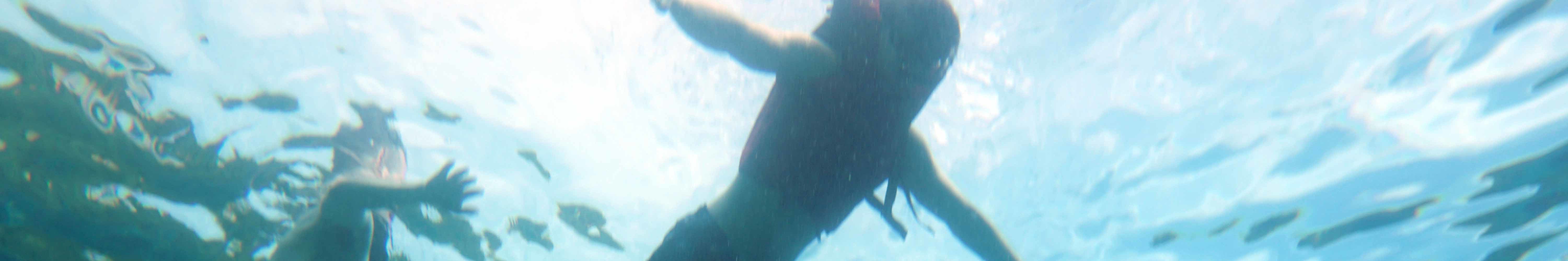 濤島一日浮潛之旅（PADI度假村）