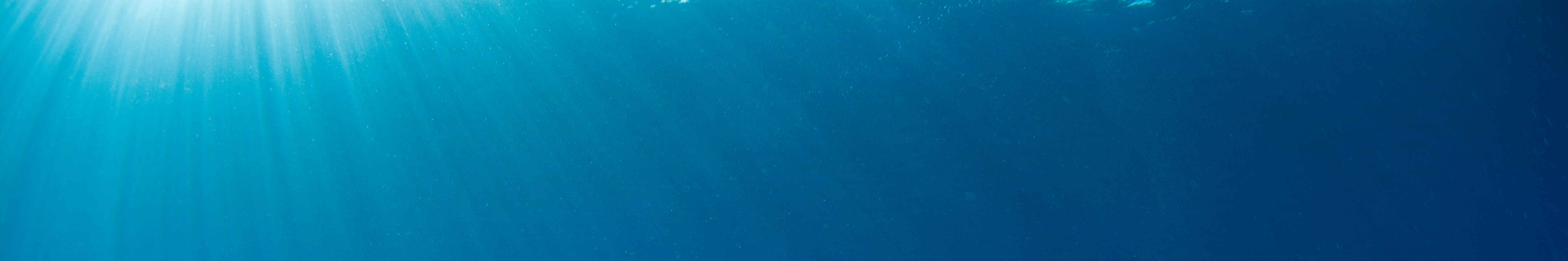 門姜岸島半日浮潛體驗（PADI五星級潛水中心）