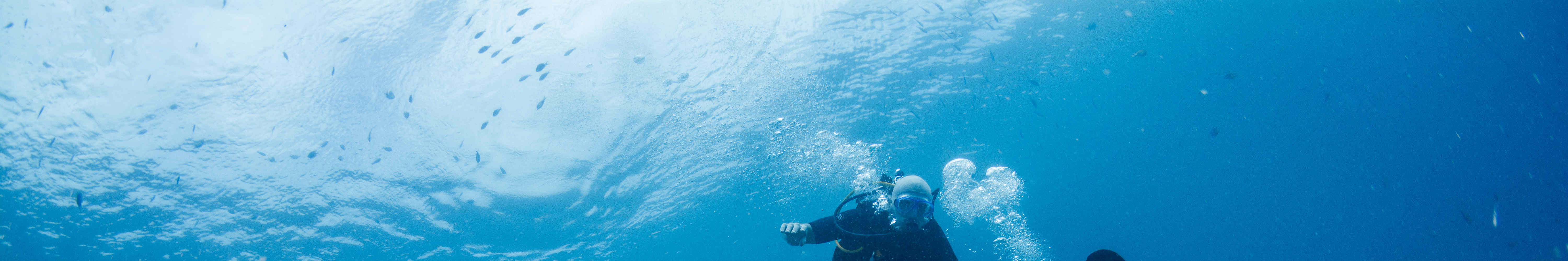 佩母德蘭 PADI 潛水中心體驗潛水