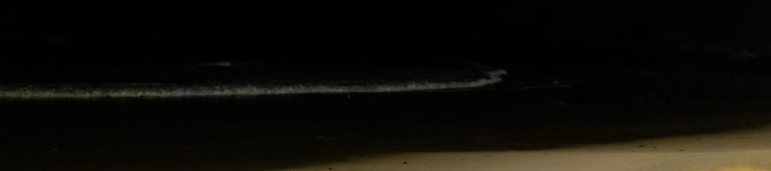 菲利普島 & 布萊頓海灘私人之旅（墨爾本出發）