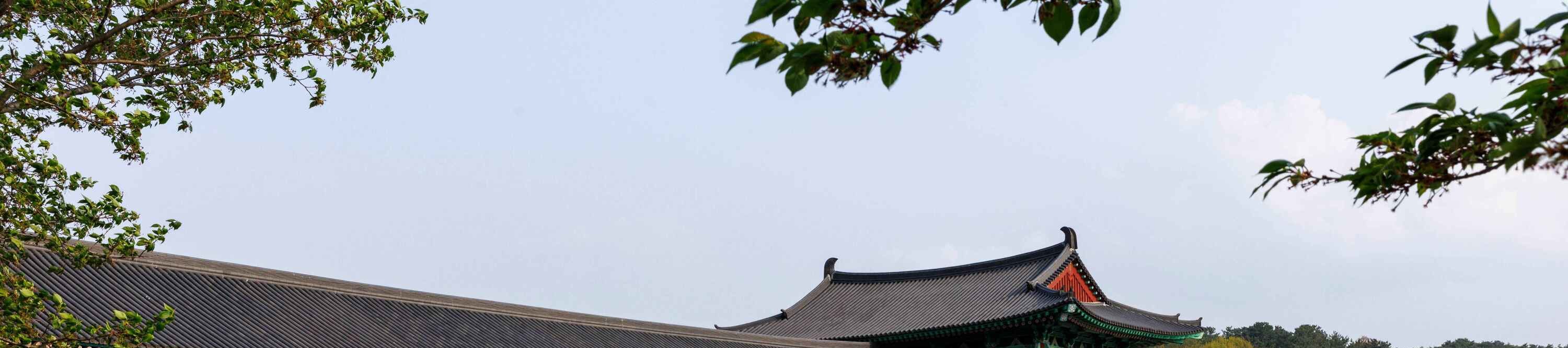 漫步於韓國最宏偉的復原木橋——月精橋，欣賞其優雅的結構在寧靜的河流上投下美麗倒影，構成一幅永恆如畫的場景。