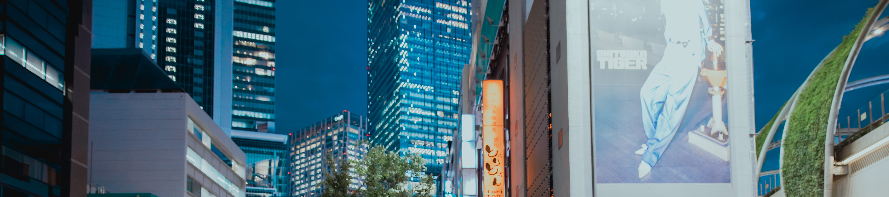 Arigato Private Photo Tour Guide in Tokyo,Hokkaido,Osaka. - Thumbnail 2
