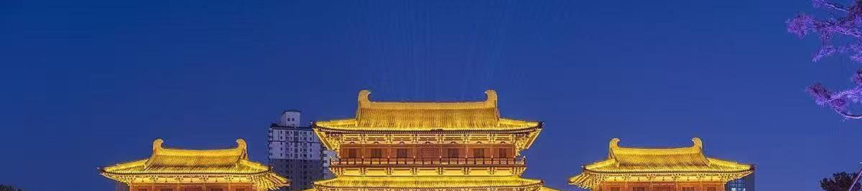 洛陽《鳳舞神都》演出票+隋唐洛陽城九洲池門票
