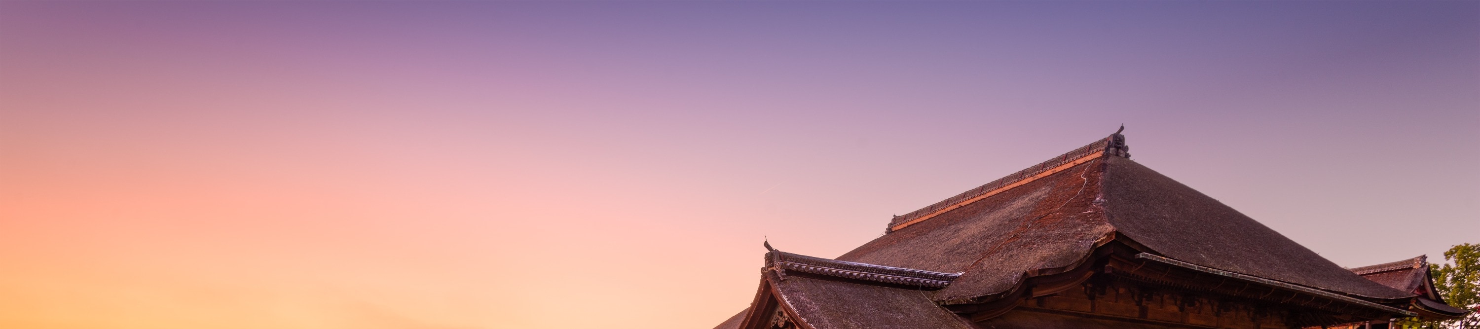 金閣寺＆清水寺＆伏見稻荷大社京都一日遊丨大阪/京都出發