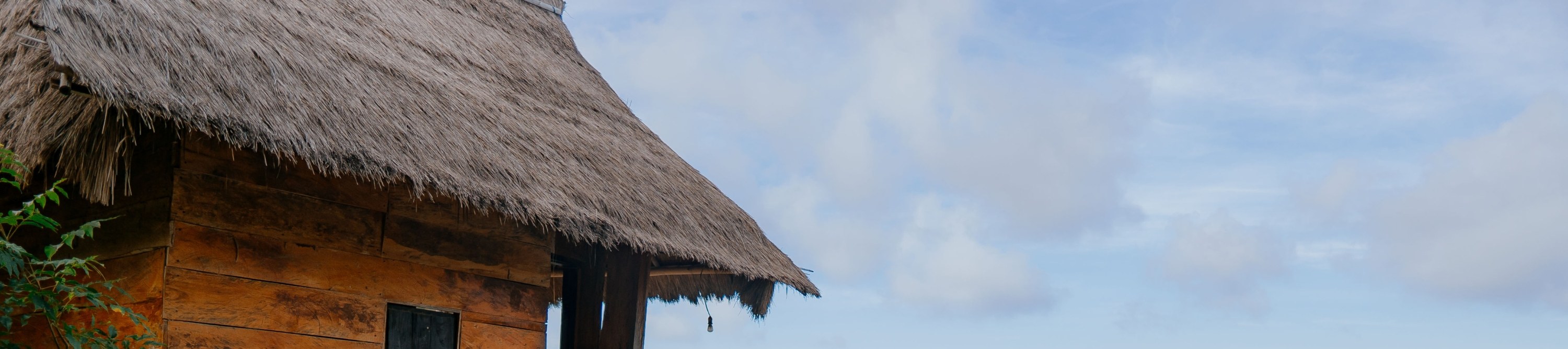 rumah pohon "tree house"