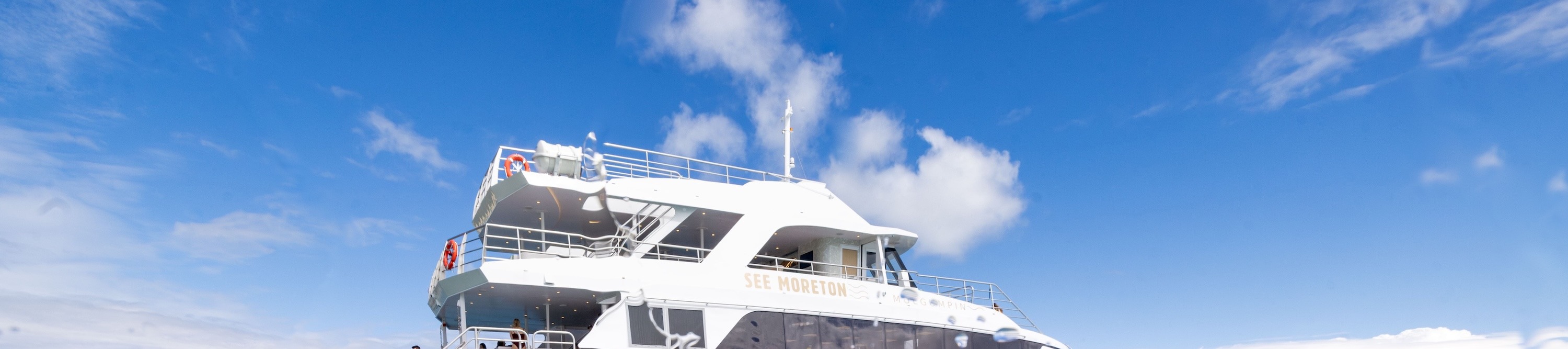 與 See Moreton 一起潛水探險,在摩頓島 (Moreton Island) 清澈見底的海水中浮潛。 與 See Moreton 一起潛水探險,在摩頓島 (Moreton Island) 清澈見底的海水中浮潛。