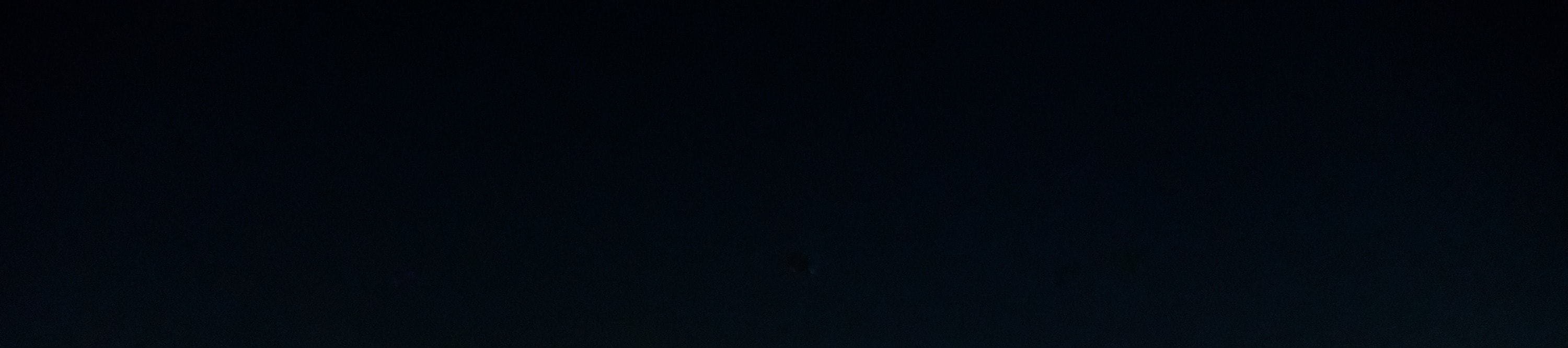 漢江三島遊艇體驗（可攜帶寵物）