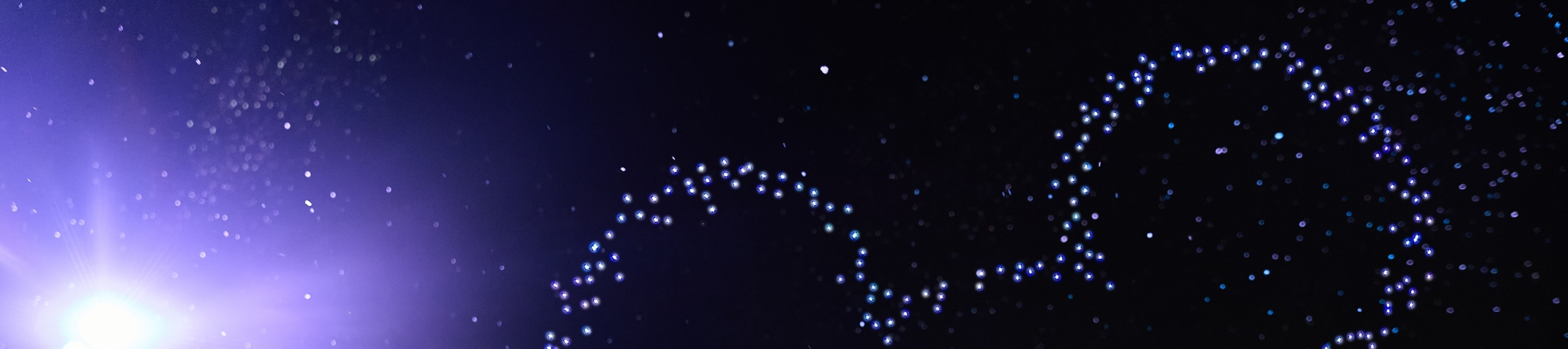 入夜後,於美國小鎮大街欣賞聖誕樹亮燈禮 入夜後,於美國小鎮大街欣賞聖誕樹亮燈禮