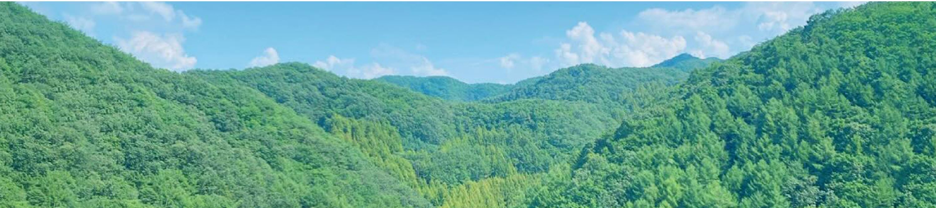 它不是普通的山峰——這裡有美麗的步行道、涼爽的樹蔭和新鮮的空氣，讓您感覺彷彿置身於魔法森林。非常適合悠閒漫步或放鬆身心。🍃
