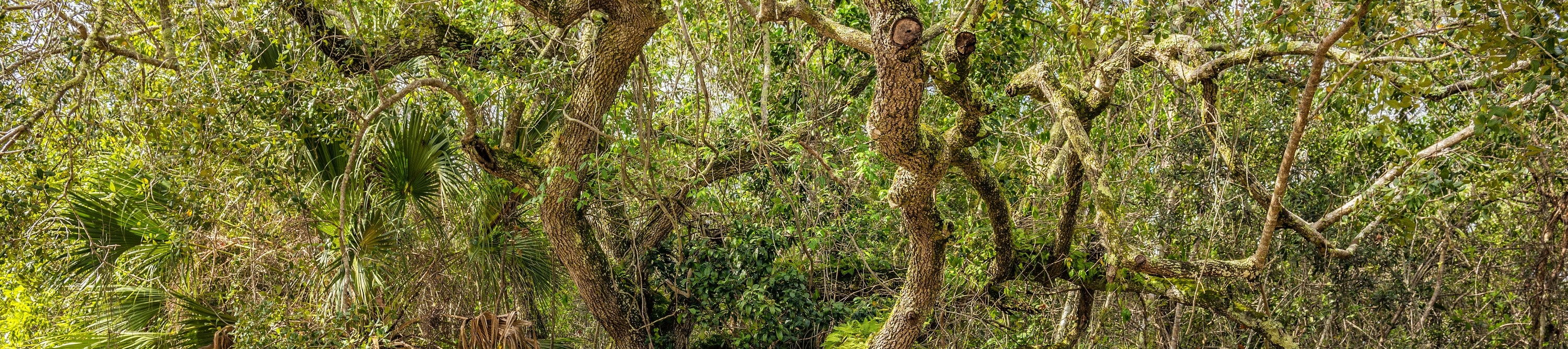 Capture a photo at the Everglades National Park Sign Board, a perfect souvenir spot