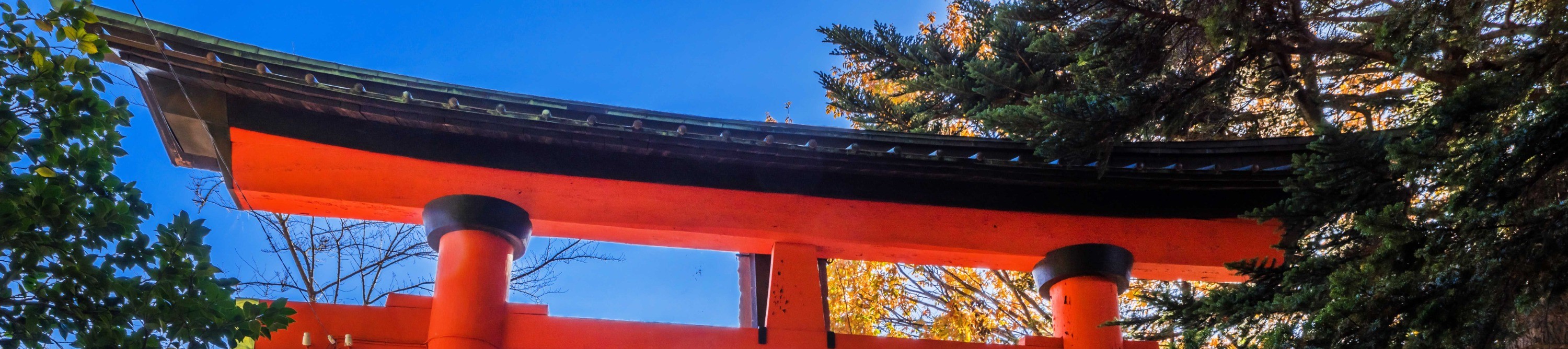 【富士山人氣打卡景點】富士山下網紅公園&日川時計店&羅森便利店&忍野八海＆大石公園一日遊 （東京站或新宿站出發）