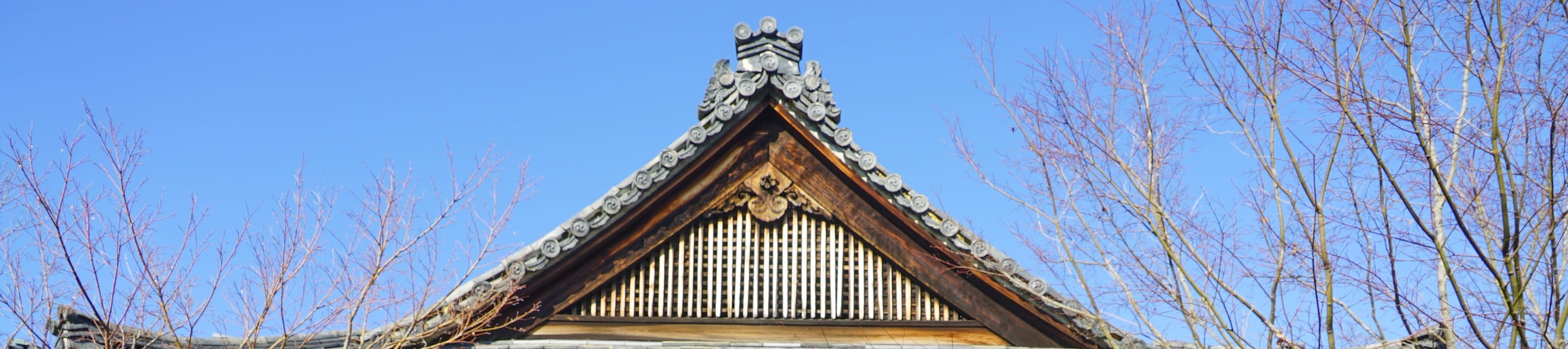 京都寺廟禪修 & 庭院之旅