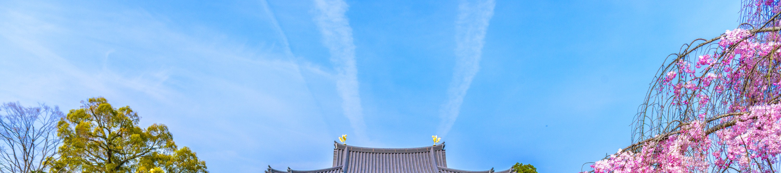 奈良公園＆東大寺＆宇治＆源氏の湯一日遊（大阪出發）