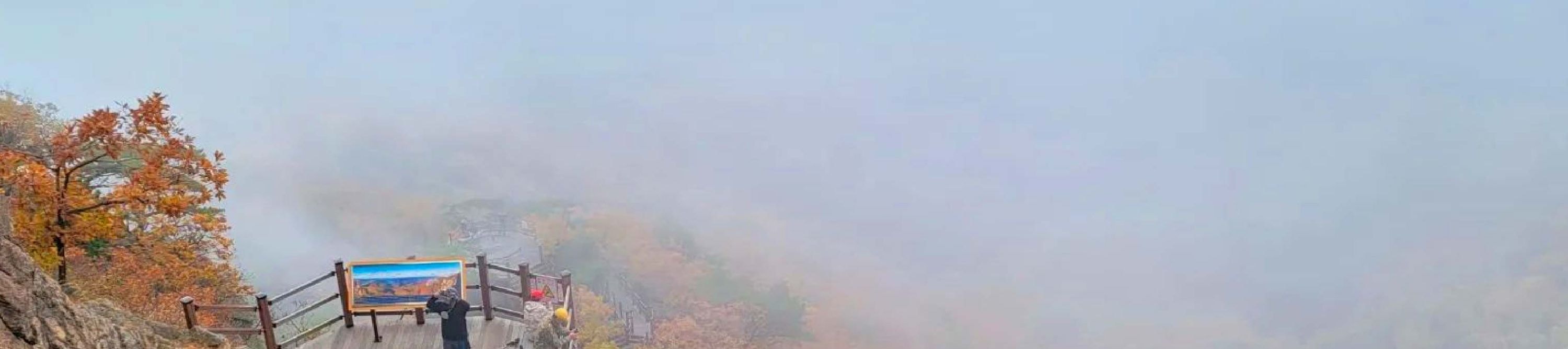 首爾市 & 季節性熱門景點一日遊