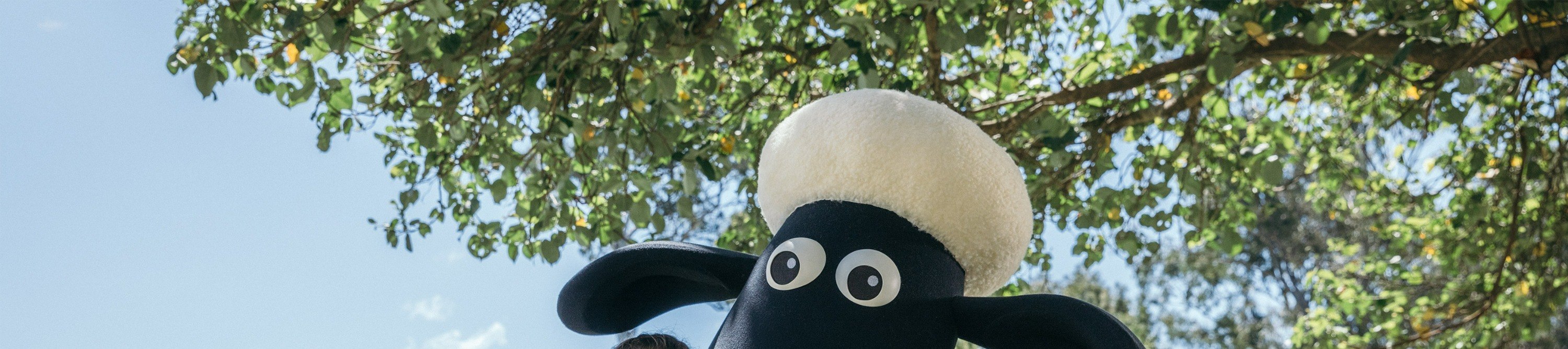 Meet and greet iconic Australian animals, creating unforgettable memories with furry friends
