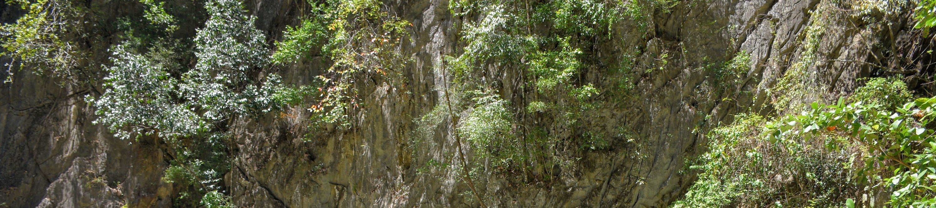 長尾船4島快艇跳島遊（蘭達島出發）