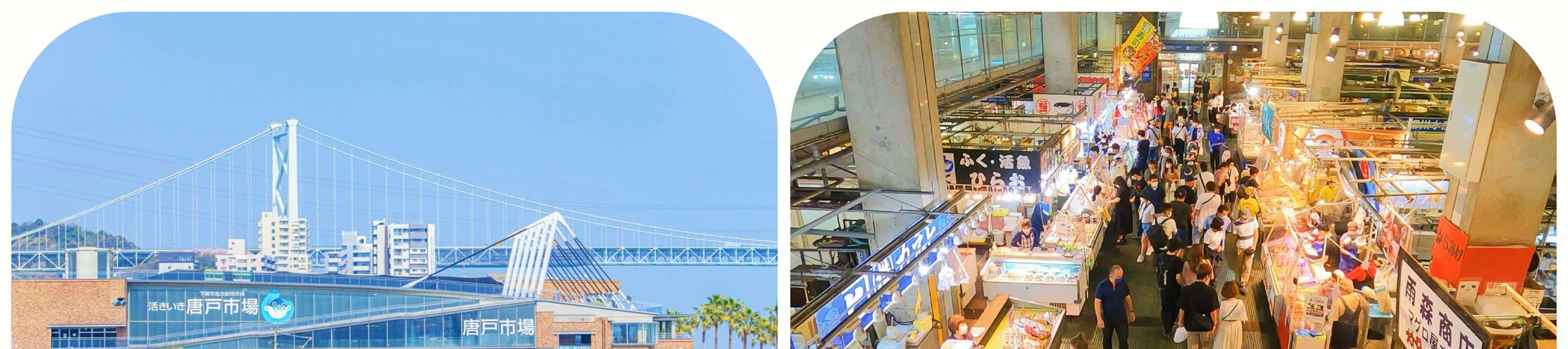 唐戶市場是下關最具代表性的美食市場之一,以新鮮海產與種類豐富的壽司而深受歡迎。遊客可自由挑選各式海鮮與現做料理,邊走邊吃的方式輕松又有趣。市場氛圍熱鬧且富有在地特色,無論是品嘗美食還是體驗當地生活感,都是非常值得造訪的人氣景點。除了品嘗海鮮,這里還有極具代表性的拍照元素 —— 河豚造型裝飾與相關主題物,非常具有下關特色,也是不少遊客必拍的打卡點。 唐戶市場是下關最具代表性的美食市場之一,以新鮮海產與種類豐富的壽司而深受歡迎。遊客可自由挑選各式海鮮與現做料理,邊走邊吃的方式輕松又有趣。市場氛圍熱鬧且富有在地特色,無論是品嘗美食還是體驗當地生活感,都是非常值得造訪的人氣景點。除了品嘗海鮮,這里還有極具代表性的拍照元素 —— 河豚造型裝飾與相關主題物,非常具有下關特色,也是不少遊客必拍的打卡點。