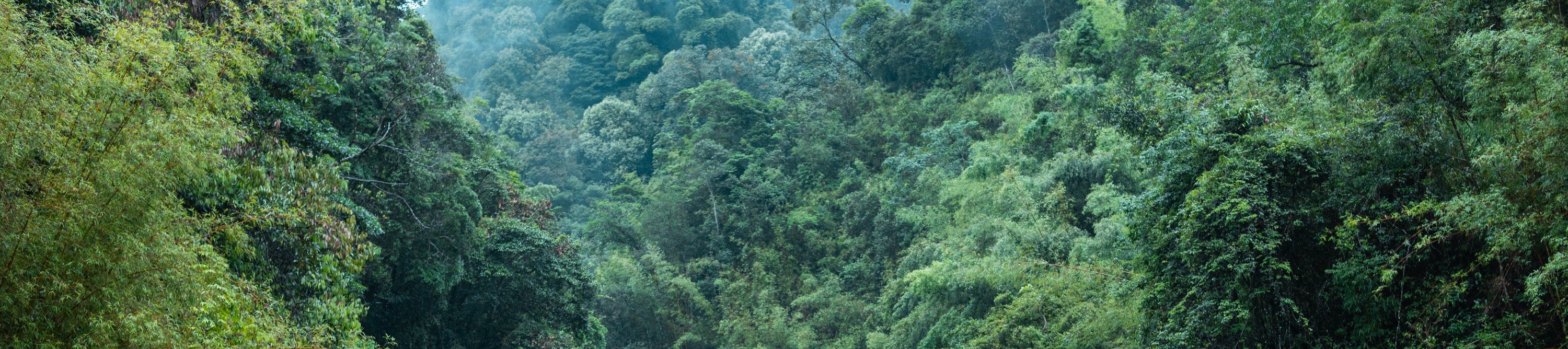 深圳/惠州包車接送惠州南崑山