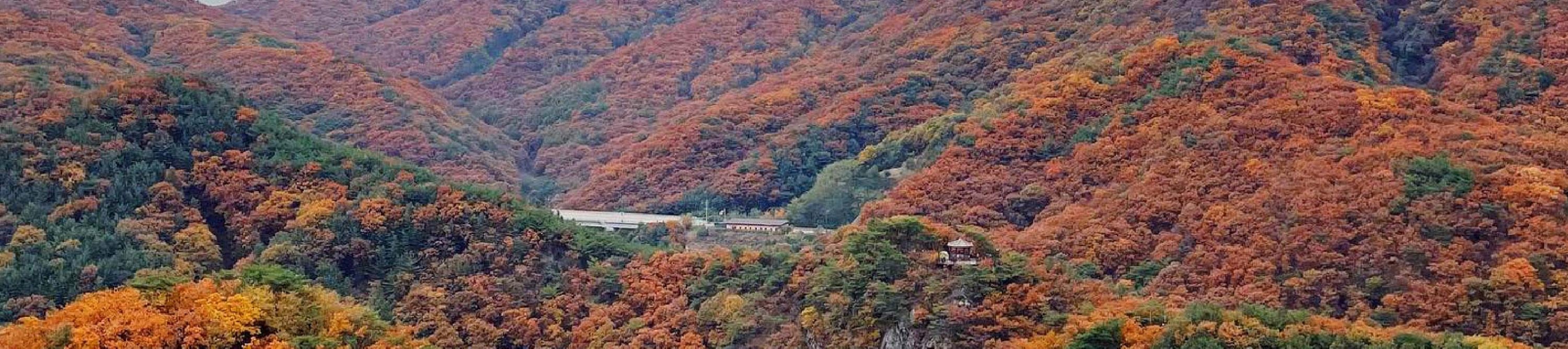 首爾市 & 季節性熱門景點一日遊