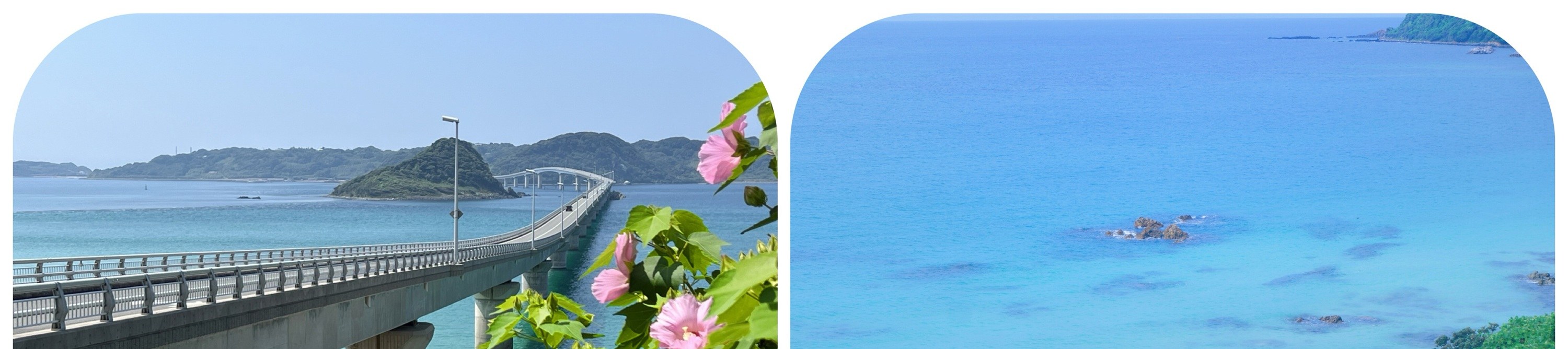 角島大橋被譽為日本代表性的絕景大橋,最令人印象深刻的是橋身橫跨在清澈透明的碧藍海水之上。晴天時海水呈現夢幻般的藍綠色,與延伸的橋體形成強烈視覺對比,景色極為震撼。這里是自駕旅行與攝影愛好者的必訪地點,也是山口縣極具代表性的風景名所。往返度過后,一定要去角島大橋展望台停留拍照,從高處俯瞰橋身與海面,景色尤為壯觀,是經典取景位置。這里非常適合攝影、自駕與風景愛好者,也是山口縣代表性的明信片級景觀。 角島大橋被譽為日本代表性的絕景大橋,最令人印象深刻的是橋身橫跨在清澈透明的碧藍海水之上。晴天時海水呈現夢幻般的藍綠色,與延伸的橋體形成強烈視覺對比,景色極為震撼。這里是自駕旅行與攝影愛好者的必訪地點,也是山口縣極具代表性的風景名所。往返度過后,一定要去角島大橋展望台停留拍照,從高處俯瞰橋身與海面,景色尤為壯觀,是經典取景位置。這里非常適合攝影、自駕與風景愛好者,也是山口縣代表性的明信片級景觀。