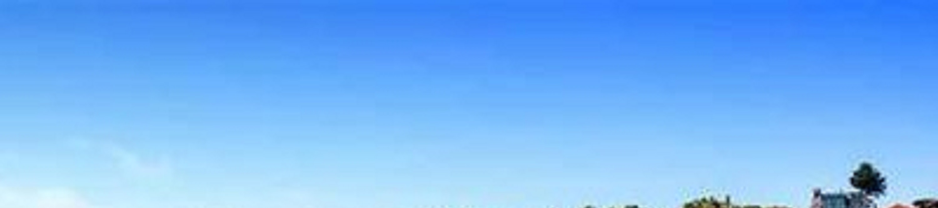 Redwood Forest Steam Train and Santa Cruz Harbor Day Tour