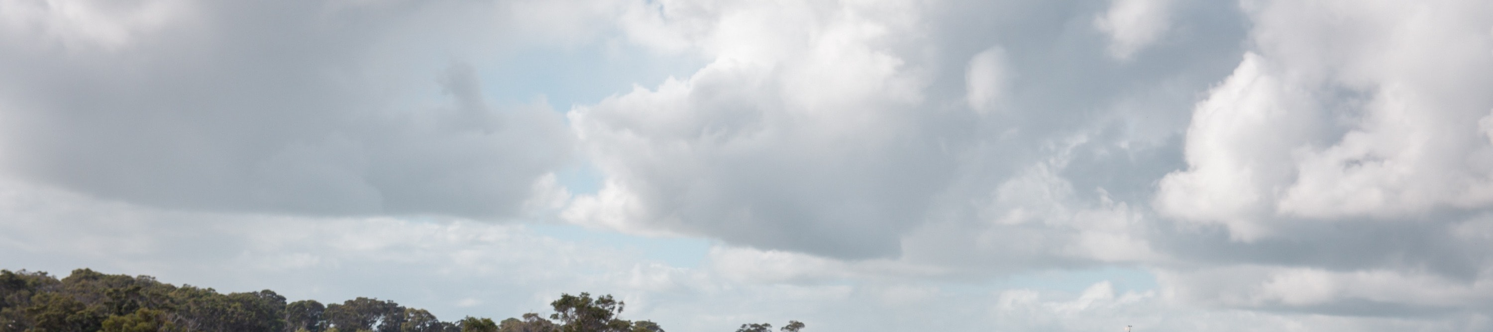 Our knowledgeable guides will take you behind the scenes, sharing fascinating insights