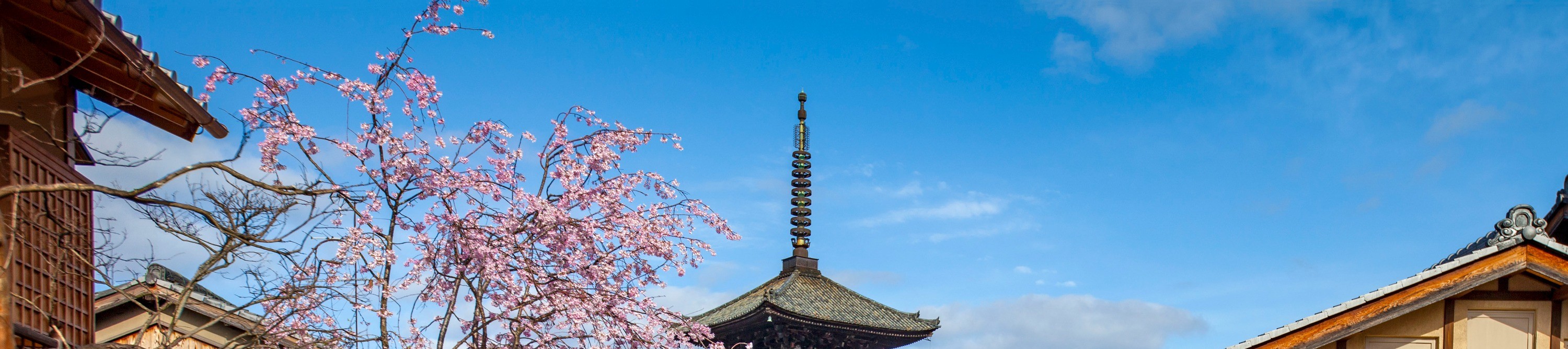 金閣寺＆清水寺＆伏見稻荷大社京都一日遊丨大阪/京都出發