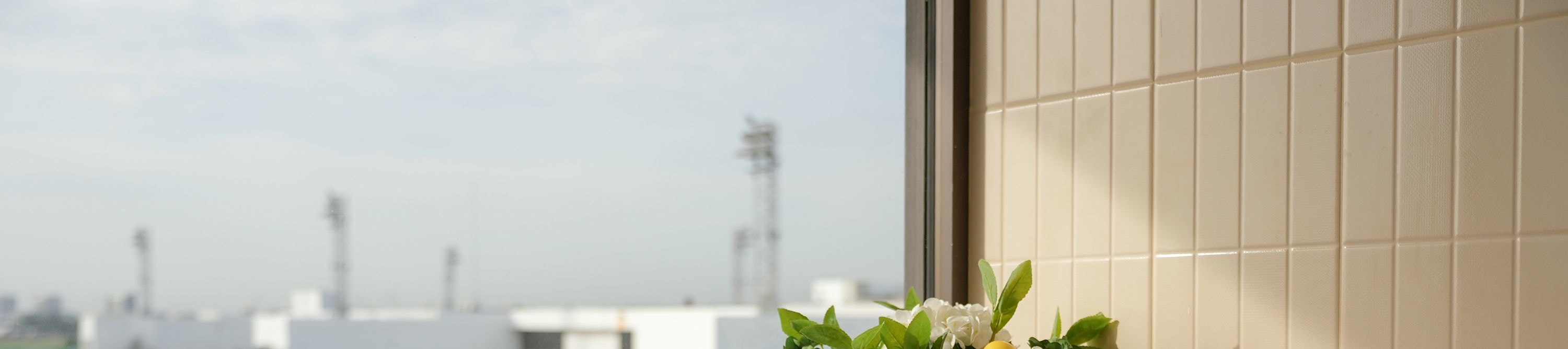 The Coral Executive Lounge Donmuang Airport (DMK) - Thumbnail 2