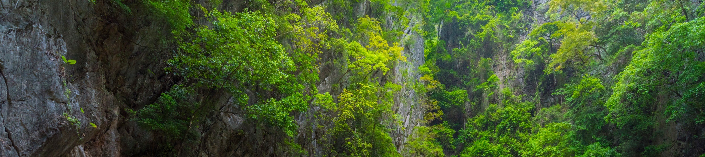 蘭塔島4島長尾船之旅（含浮潛 & 自助午餐）