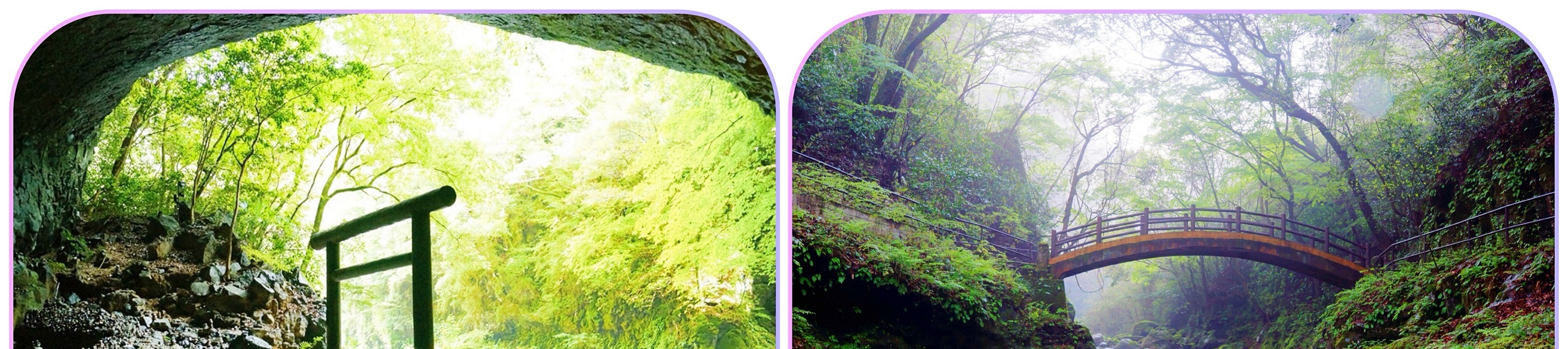 從天岩戶神社通往天安河原的步道上，會經過一座橫跨溪流的小橋。這座橋靜靜地佇立在山谷之中，四周被濃密的樹林包圍，溪水在腳下潺潺流過，空氣中帶著清涼濕潤的氣息。踏上這座橋，彷彿是一個轉換心境的過程。從神社莊嚴而整齊的空間，慢慢走入更原始、靜謐的自然之中。橋的另一側，便是通往天安河原的森林小徑，也象徵著從現世走向神話世界的入口。前來參拜的大家，會在河原或岩洞內撿拾小石，靜靜堆疊成石塔，象徵向神明祈願、感謝或寄託心願。每一顆石頭都被認為承載著參拜者的心意，無數石塔層層堆疊，也象徵著人們將願望一點一滴累積、交付給神