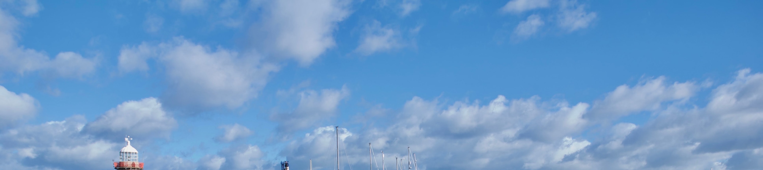 Panoramic E-Bike tour in Dublin